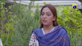 Pyari Nimmo - Episode 51 - 31st October 2023